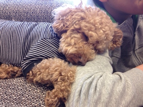 {855A8607-C240-4B50-B256-6379A6DAF1D6:01}