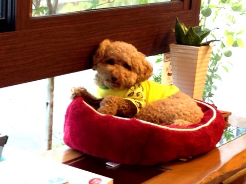 {824E1710-2DA1-4FDD-8EE0-6D353BF1D170:01}