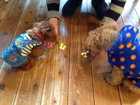 {A40E84F6-A929-499F-B463-8544F4494A9E:01}