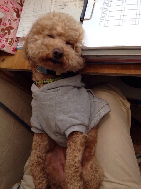 {8E17CE1B-1E61-4C3F-A91B-4E5ED8D1066B:01}