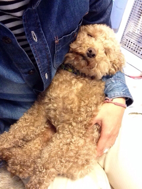 {85CE08CB-8C5A-4853-969C-64E6D9FD375E:01}