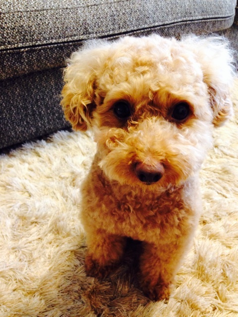 {75B107D8-0A5E-4D17-9444-B944A5B2FCCA:01}