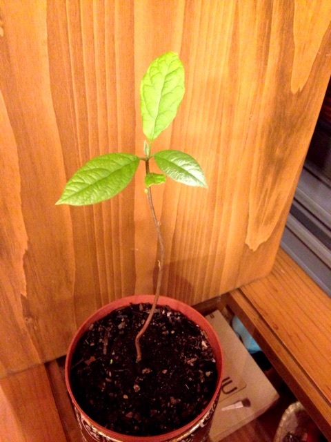 {B1DFF489-4FCE-4C7A-8C1F-88DFE93CE2D2:01}