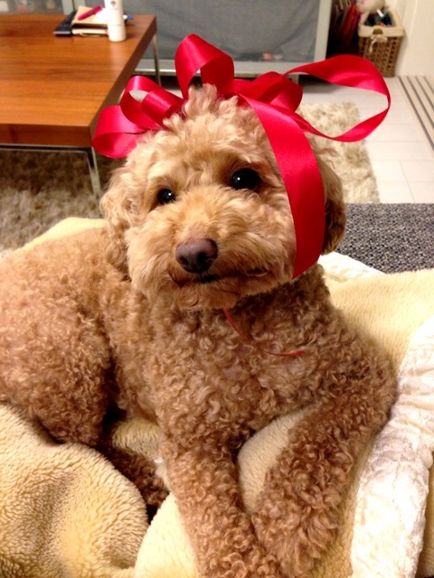 {553FB0DE-C840-4A5F-A2B7-DAAA11344C37:01}