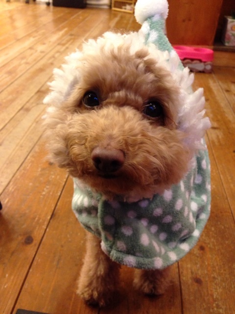 {775D409B-FC69-4BA3-BF42-5FDA91821A7A:01}