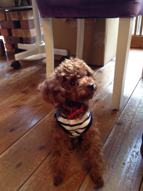 {F7CE8552-F05A-4C63-9E7B-5DEC6559F9C7:01}